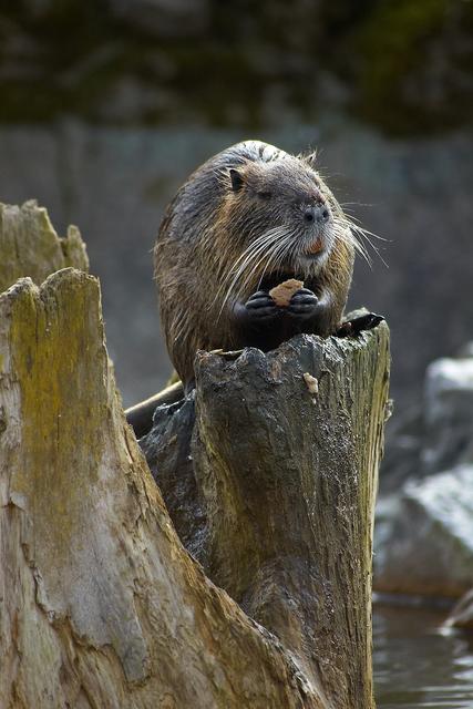 Symbolbild | Foto: Limited43/panthermedia.net