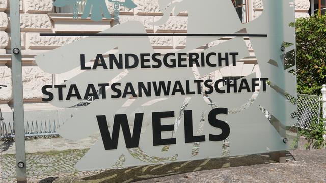 Am Landesgericht Wels wurde der Mann im Sinne der Anklage zu einer Freiheitsstrafe von 15 Monaten unbedingt verurteilt.