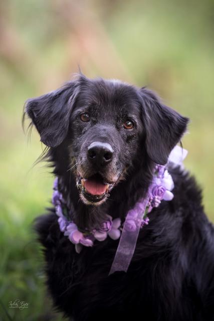 "Opa" Jeremy bei einem Fotoshooting | Foto: Daniela Kopal