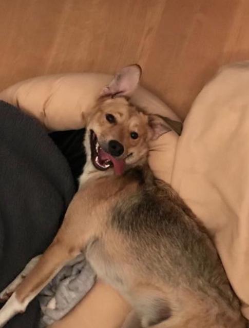 Koby "lacht" | Foto: Manuela Eybl-Leroch