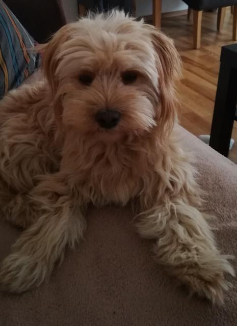 Die kleine Luna | Foto: Sandra Hörker