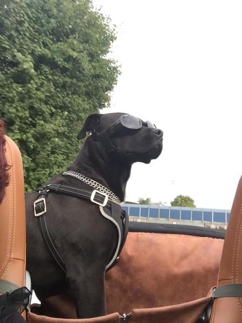 Carlos auf Reisen | Foto: Peter Dermota