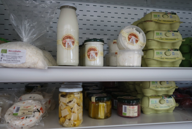 Foto: der Burgenländer