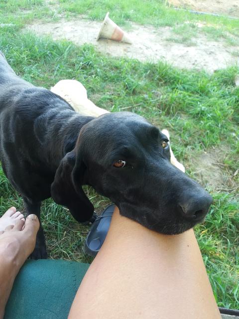 Cleo mit ihrem Frauchen | Foto: Bettina Jansky