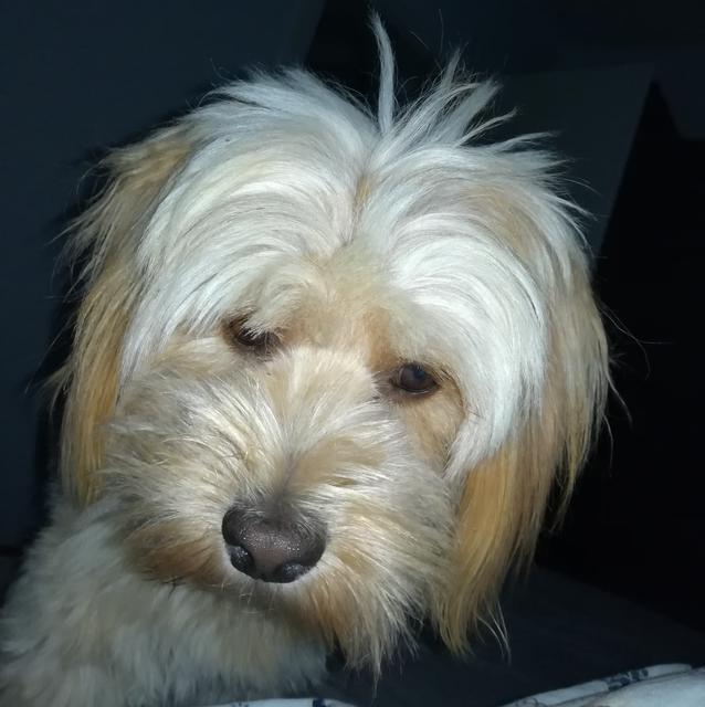 Die kleine Luna | Foto: Sandra Hörker