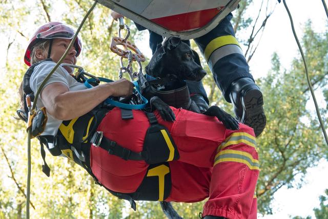 Fenja bei ihrer Ausbildung zum Rettungshund | Foto: Doris Waczek