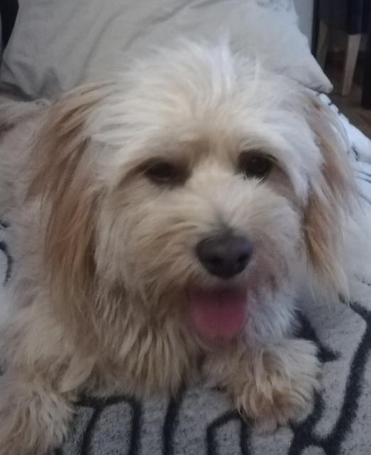 Die kleine Luna | Foto: Sandra Hörker