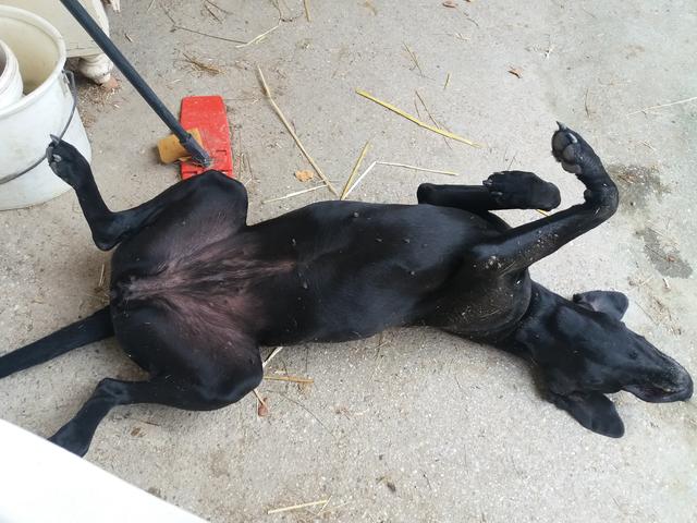 Cleo  | Foto: Bettina Jansky