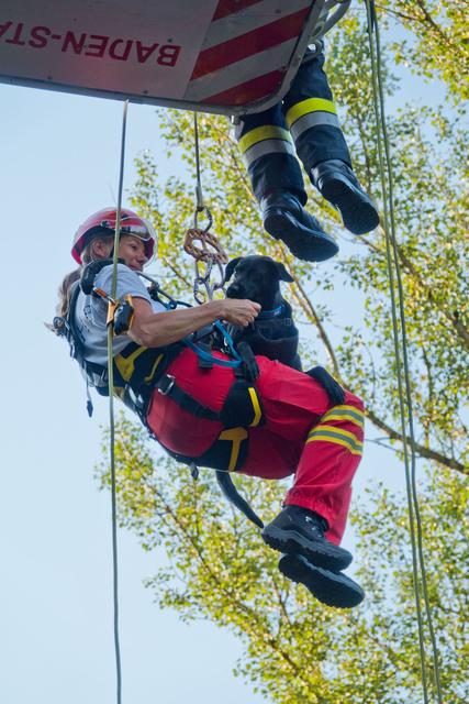Fenja bei ihrer Ausbildung zum Rettungshund | Foto: Doris Waczek