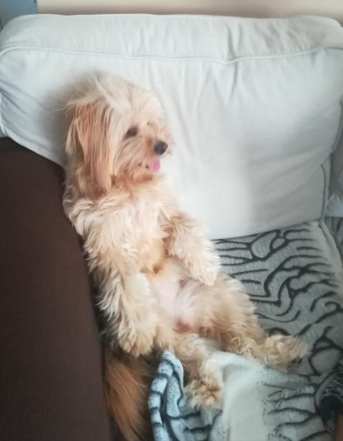 Die kleine Luna beim Sitzen | Foto: Sandra Hörker