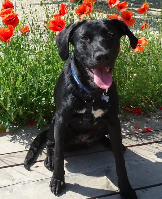 Die kleine Fenja | Foto: Doris Waczek