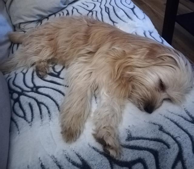 Die kleine Luna | Foto: Sandra Hörker