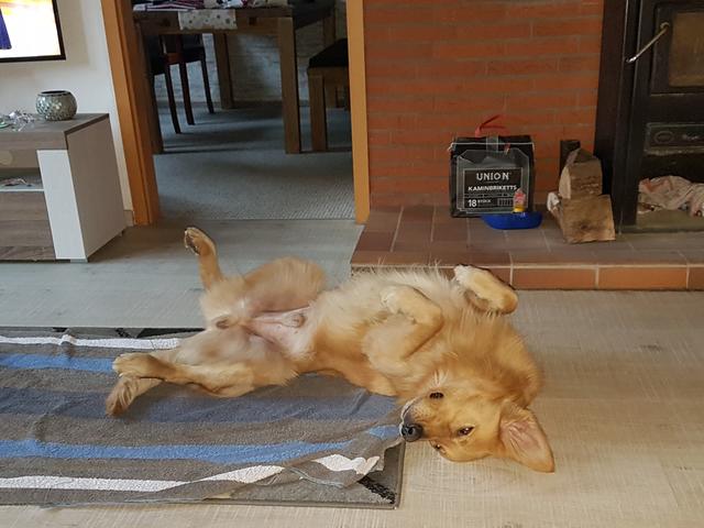 Der kleine Güney | Foto: Melanie Westphal