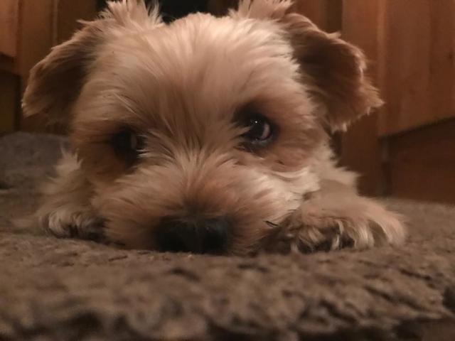 Der kleine Max | Foto: Elisabeth Simoner