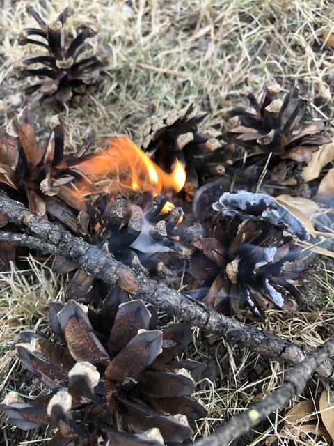 Jegliches Feuerentzünden im Wald oder in waldnahen Gebieten ist im Bezirk Feldkirchen verboten.