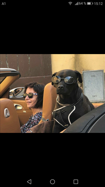 Carlos  | Foto: Peter Dermota