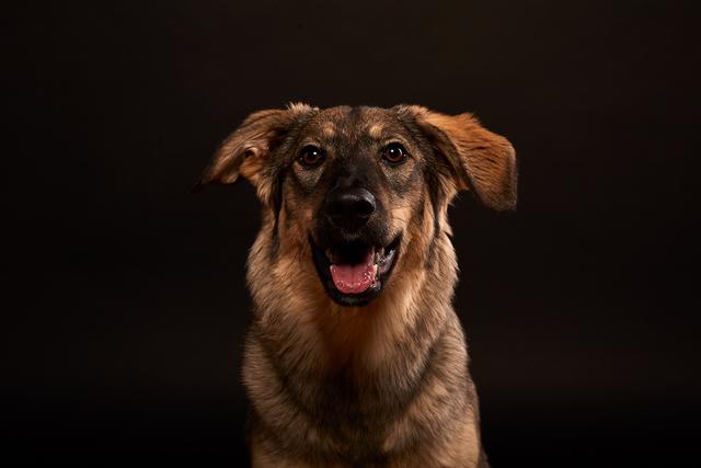 Die kleine Elwi bei einem Fotoshooting  | Foto: Philipp Tikowsky