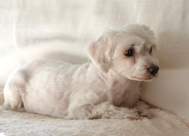 Die kleine Julie | Foto: Melanie Kainrath