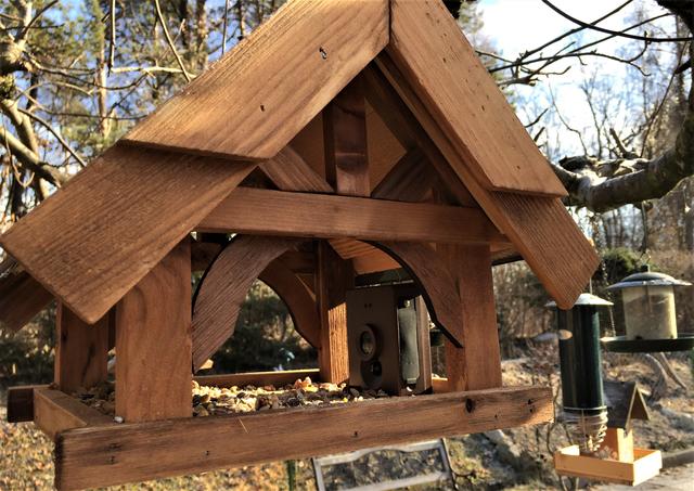 Seit kurzen habe ich ein Futterhäuschen mit Wildkamera im Schrebergarten aufgestellt und nicht nur die Vögel, sondern auch ich haben damit eine große Freude!