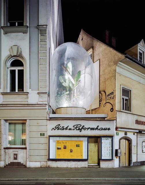 Bananen und Ananas wuchsen in Graz auch im Winter – dank dieser Gewächshaus-Installation beheizt mit Abluft. | Foto: Simon Oberhofer