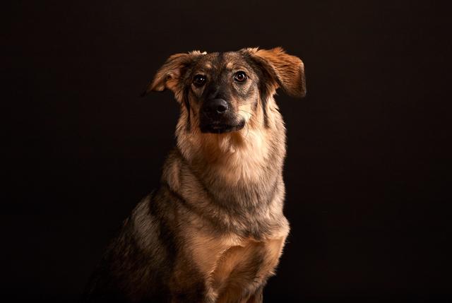 Die kleine Elwi bei einem Fotoshooting | Foto: Philipp Tikowsky