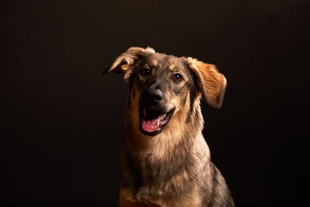 Die kleine Elwi bei einem Fotoshooting | Foto: Philipp Tikowksy