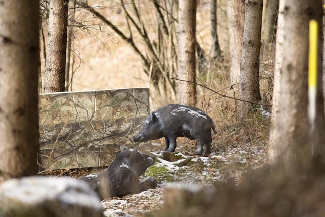 Tiere auf unserem Parcours | Foto: Nechi Matthias