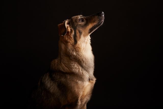 Die kleine Elwi bei einem Fotoshooting | Foto: Philipp Tikowsky
