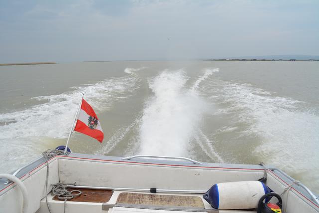 Rund 5.200 Einsatzstunden leisteten die ehrenamtlichen Mitglieder der Wasserrettung 2019 auf dem Neusiedler See, dem Steinbrunner See und dem Neufelder See