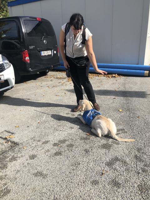 Nala und Redakteurin Sabrina beim Training. Hier hat Nala gelernt sich hinzulegen.  | Foto: Sabrina Moriggl