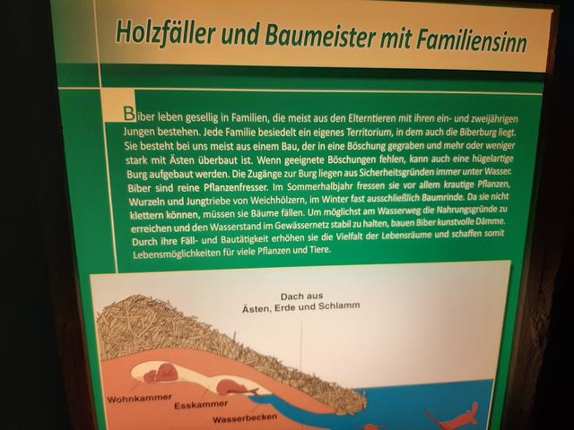 Haus der Natur, Salzburg
