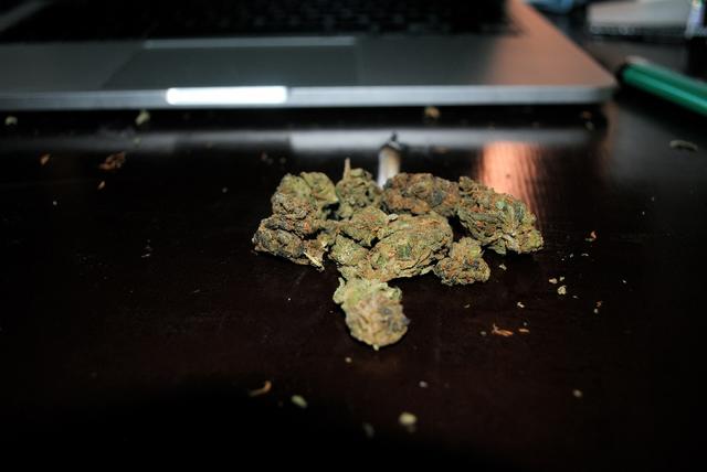 Bei einem 25-Jährigen konnten erntereife Cannabispflanzen und bereits getrocknetes Cannabiskraut sicher gestellt werden.