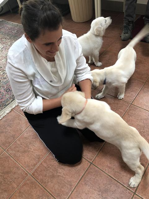 Redakteurin Sabrina und Welpe Nala in der Kinderstube. | Foto: Sabrina Moriggl