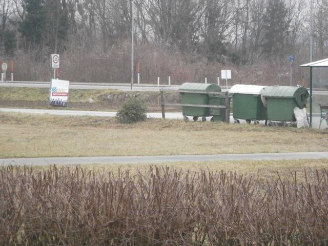 Eigentlich werden Christbäume in Rennersdorf am Samstag nach dem Dreikönigstag entsorgt. Das hat wohl jemand verschlafen...
