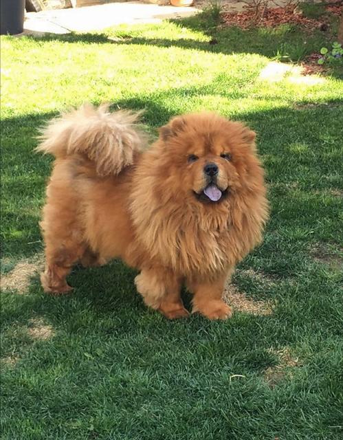 Der kleine Tyler | Foto: Ilse Groschedl-Dietl