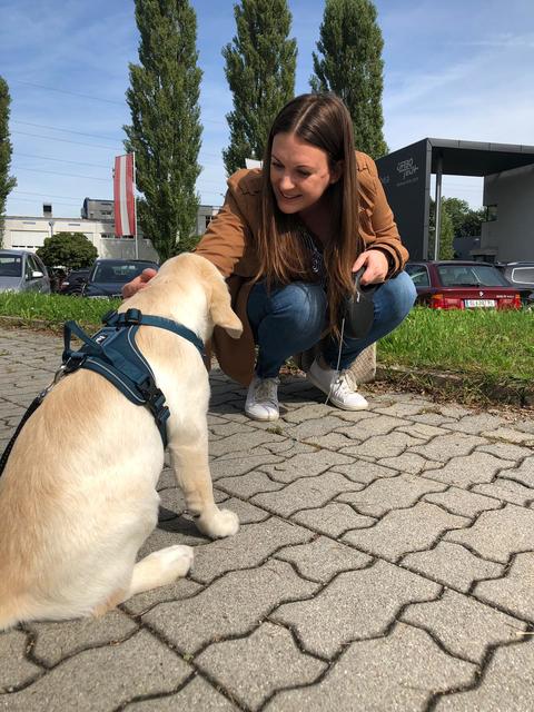 Nala holt sich regelmäßig ihre Kuscheleinheiten bei den Kollegen in der Redaktion ab.  | Foto: Sabrina Moriggl