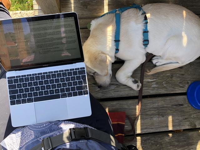 Während Redakteurin Sabrina an einem Artikel arbeitete, schlief Nala brav daneben.  | Foto: Sabrina Moriggl