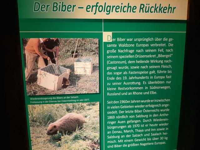 Haus der Natur, Salzburg. | Foto: Zinterhof