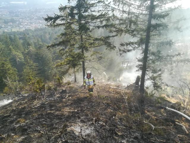 Waldbrand in Absam: Wie groß der Schaden beim Waldbrand ist und ob es Verletzte gibt, ist noch nicht klar.