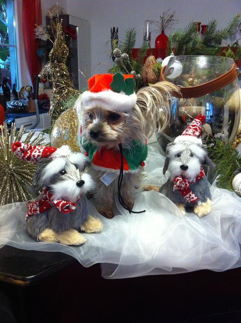 Micuco | Foto: Melitta Kotrba