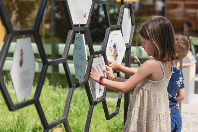 Im Bienen-Schaugarten kann man auf spannende und unterhaltsame Weise viel über Bienen erfahren.