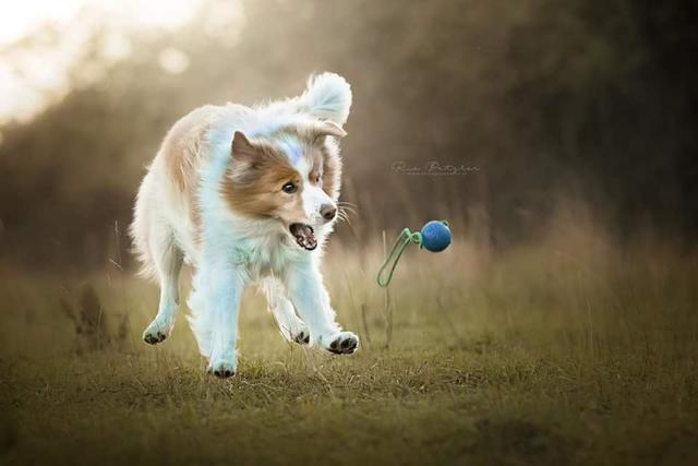 Der kleine Damon - aka Krümel | Foto: Tamara Stark