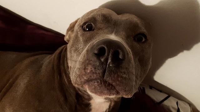 Maya | Foto: Saskia Mayer