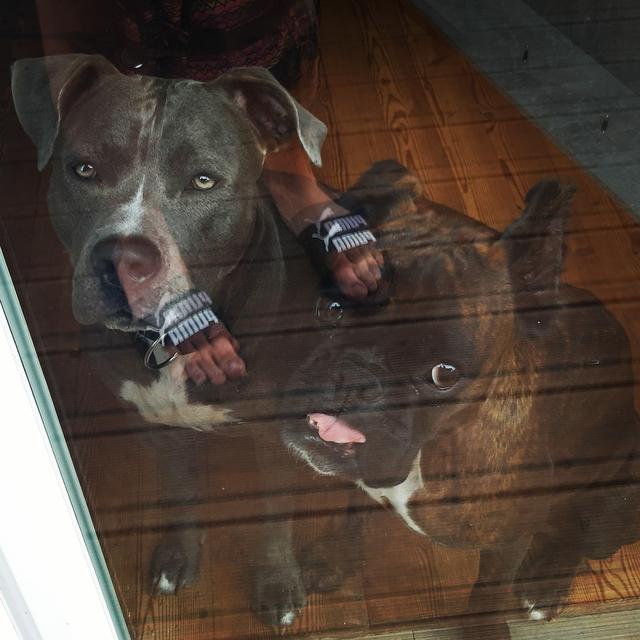 Nina &amp; Maya | Foto: Saskia Mayer