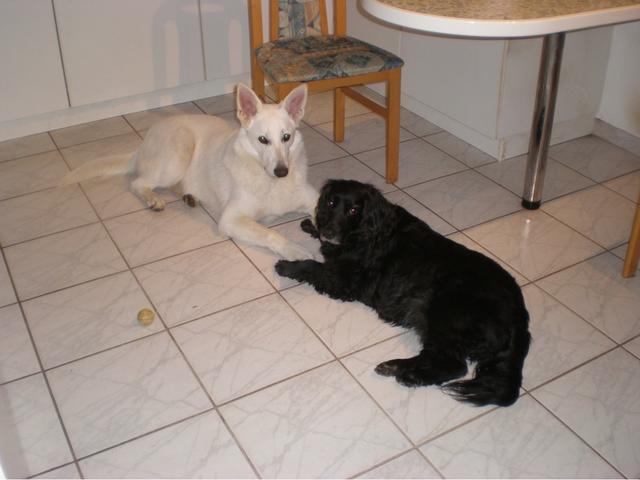 Sindy &amp; Shila sind unzertrennlich | Foto: Gabriele Struck