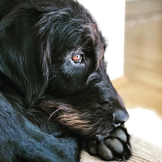 Mojito ganz nachdenklich | Foto: Martina Vitera