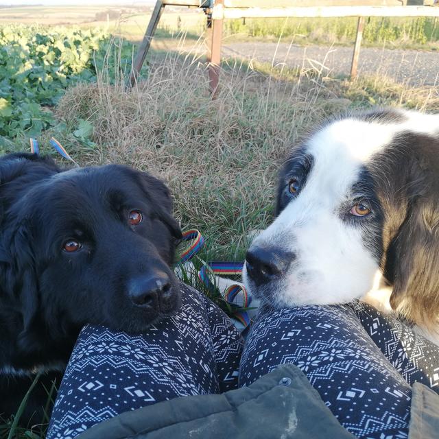 Kimba &amp; Gonzo mit Frauchen | Foto: Patricia Schmöger