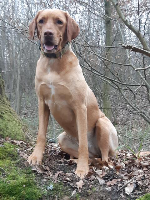 Maja im Wald | Foto: Maria Kießling