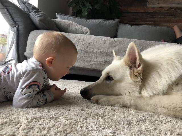 Der kleine Wulfi begutachtet das neue Familienmitglied | Foto: Diane Eibl