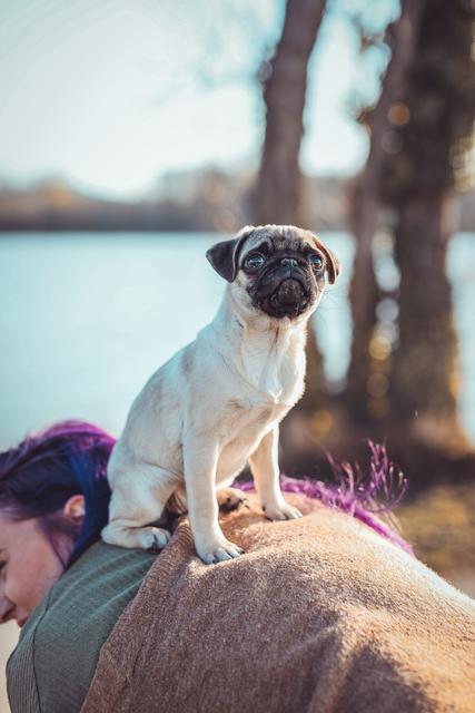 Frauchen nimmt ihre Luna huckepack | Foto: Jacqueline Echl